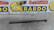 Gasdruckfeder Vorne Volkswagen Polo III (6N1) SchrÃ¤gheck 1.4i 60 (APQ) 2000 APQ