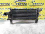 Ladeluftkühler 14461EB360 Nissan Navara (D40) Pick-up 2.5 dCi 16V 4x4 (YD25DDTi) 2007