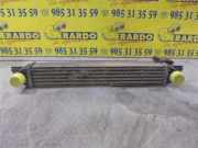 Ladeluftkühler 51790623 Peugeot Bipper (AA) Van 1.4 HDi (DV4TD(8HS))