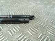 Gasdruckfeder Hinten 81780F1000 Kia Sportage (QL) Geländewagen 1.6 GDI 16V 4x2 (G4FD) 2021