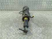 Stoßdämpfer Rechts Vorne A2213206613 Mercedes-Benz S (W221) Limousine 5.5 S-550 32V (M273.961) 2006