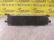 Ladeluftkühler 5S6H9L440AD Ford Fiesta 5 (JD/JH) Schrägheck 1.6 TDCi 16V (HHJB) 2005