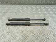 Gasdruckfeder Vorne 654704597R Renault Scénic IV (RFAJ) Großraumlimousine 1.6 Energy dCi 130 (R9M-409(R9M-E4))