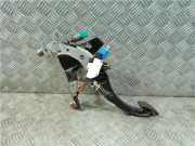 Kupplungspedal 465030038R Renault Scénic III (JZ) Großraumlimousine 1.9 dCi (F9Q-870(F9Q-N8))