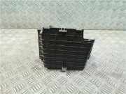 Batteriekasten 9801801880 Citroën C4 Cactus (0B/0P) Schrägheck 5-drs 1.6 e-Hdi 92 (DV6DTED(9HP)) 2014
