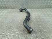 Lufteinlass -- -- Renault Megane II (LM) Limousine 1.9 dCi 120 (F9Q-800) 2004