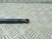 Gasdruckfeder Vorne 51237239233 BMW 3 serie Touring (F31) Kombi 320d 2.0 16V (B47-D20A) 2017