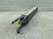 Ladeluftkühler Fiat Grande Punto (199) Schrägheck 1.3 JTD Multijet 16V VGT (199.A.3000)