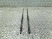 Gasdruckfeder Hinten 9800805480 Citroën C4 Cactus (0B/0P) Schrägheck 5-drs 1.6 e-Hdi 92 (DV6DTED(9HP)) 2014