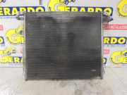 Klima Radiator 92100EB00A Nissan Navara (D40) Pick-up 2.5 dCi 16V 4x4 (YD25DDTi)
