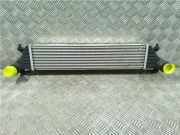 Ladeluftkühler Fiat Tipo (356H/357H) Schrägheck 1.4 16V (843.A.1000(Euro 4; Euro 5; Euro 6))