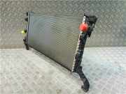 Radiator 214100004R Renault Laguna III (BT) Schrägheck 5-drs 1.5 dCi 110 (K9K-780)