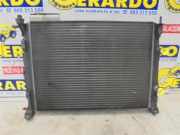 Radiator 8200115542A Renault Megane II (BM/CM) Schrägheck 2.0 16V (F4R-770(Euro 4))