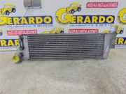 Ladeluftkühler 8200115540D Renault Megane II Grandtour (KM) Kombi 5-drs 1.9 dCi 120 (F9Q-800)