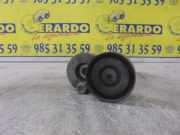 Spannrolle 072120628 Renault Megane II (BM/CM) SchrÃ¤gheck 1.9 dCi 120 (F9Q-800) 2004