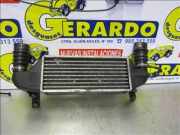 Ladeluftkühler XS409L440BD Ford (DAW, DBW) 1.8 Turbo DI / TDDi C9DC 1999