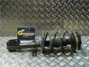 Stoßdämpfer Links Vorne Renault Clio III (BR/CR) Schrägheck 1.2 16V 75 (D4F-740)