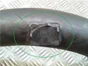 Lufteinlass -- 8200488871 Renault II (BG0)(2001->) 1.8 Authentique [1,8 Ltr. - 88 kW CAT] F9Q C6 2005