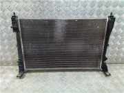 Radiator 896060000 Fiat Doblo (263) Großraumlimousine 1.3 D Multijet (199.A.3000)