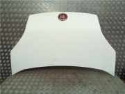 Motorhaube Fiat Fiorino (225) Van 1.3 JTD 16V Multijet (199.A.9000) 2016
