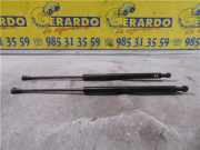 Gasdruckfeder Vorne Citroën Xsara (N1) Schrägheck 1.9D (DW8B(WJY)) 1999