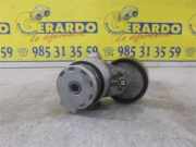 Spannrolle Renault Scénic II (JM) Großraumlimousine 1.5 dCi 105 (K9K-732(K9K-P7)) 2006