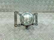 Nebelscheinwerfer Links Vorne Hyundai Tucson SUV 2.0 CRDi 16V 4x4 (D4EA)