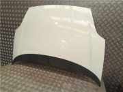 Motorhaube 51701140 Fiat Grande Punto (199) Schrägheck 1.2 Euro 5 (169.A.4000(Euro 5))