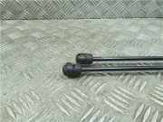 Gasdruckfeder Hinten 8R082755203S Audi Q5 (8RB) SUV 3.0 TDI V6 24V Quattro (CCWA) 2009