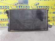 Radiator Fiat Panda (169) Schrägheck 1.3 JTD 16V Multijet (188.A.8000)