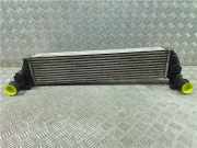 Ladeluftkühler 8200301883 Renault Espace (JK) Großraumlimousine 2.0 dCi 16V 130 FAP (M9R-740(M9R-A7))