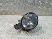 Nebelscheinwerfer Rechts Vorne 88045 Renault Laguna II (BG) Schrägheck 5-drs 1.9 dCi 120 (F9Q-670)