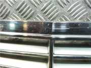 Grill - A2038800183 Mercedes-Benz C (W203) Limousine 2.2 C-200 CDI 16V (OM611.962) 2001