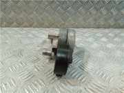 Spannrolle 03G903315D Volkswagen Eos (1F7/F8) Cabrio 2.0 TDI DPF (BMM) 2007 BMM