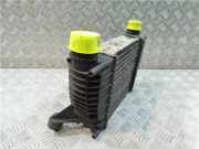 Ladeluftkühler 144619U20A Nissan Note (E11) Großraumlimousine 1.5 dCi 90 (K9K) 2010