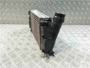 Ladeluftkühler 144614EB1A Renault Scénic IV (RFAJ) Großraumlimousine 1.6 Energy dCi 130 (R9M-409(R9M-E4))