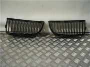 Grill - BMW 3 serie Touring (E91) Kombi 320d 16V Corporate Lease (M47N(204D4))