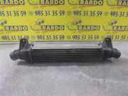 Ladeluftkühler 1S7Q9L440AC Ford Mondeo III Limousine 2.0 TDCi/TDDi 115 16V (D6BA) 2001