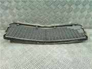 Grill - - 2028880023 Mercedes-Benz C (W202) Limousine 2.5 C-250 TD 20V (OM605.960) 1996