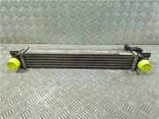 Ladeluftkühler 51790623 Fiat Fiorino (225) Van 1.3 JTD 16V Multijet (199.A.9000) 2016