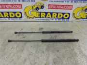 Gasdruckfeder Hinten Peugeot 206 (2A/C/H/J/S) SchrÃ¤gheck 1.9 D (DW8B(WJY)) 2001