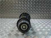 Stoßdämpfer Rechts Vorne 51796546 Fiat Grande Punto (199) Schrägheck 1.3 JTD Multijet 16V VGT (199.A.3000)