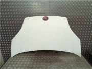 Motorhaube 51789394 Fiat Qubo Großraumlimousine 1.3 D 16V Multijet (199.A.2000)