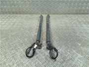 Gasdruckfeder Hinten 7263156 BMW 3 serie Touring (F31) Kombi 318d 2.0 16V (N47-D20C) 2014
