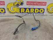 Abs Sensor Vorne Citroën C3 Picasso (SH) Großraumlimousine 1.6 HDi 16V 90 (DV6ATED4(9HX)) 2009