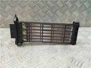 Heizwiderstand T1001732A Renault ScÃ©nic IV (RFAJ) GroÃŸraumlimousine 1.6 Energy dCi 130 (R9M-409(R9M-E4))