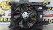 Kühlerventilatormotor 8200680824A Renault Megane II (BM/CM) Schrägheck 1.5 dCi 105 (K9K-732(K9K-P7)) 2008