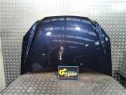 Motorhaube 664001D010 Kia Carens III (FG) Großraumlimousine 2.0 CRDI VGT 16V (D4EA) 2008