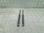 Gasdruckfeder Vorne 51238202688 BMW 3 serie Touring (E46/3) Kombi 320d 16V (M47-D20(204D1)) 2001