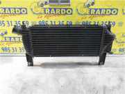 Ladeluftkühler 14461EB360 Nissan Navara (D40) Pick-up 2.5 dCi 16V 4x4 (YD25DDTi) 2007